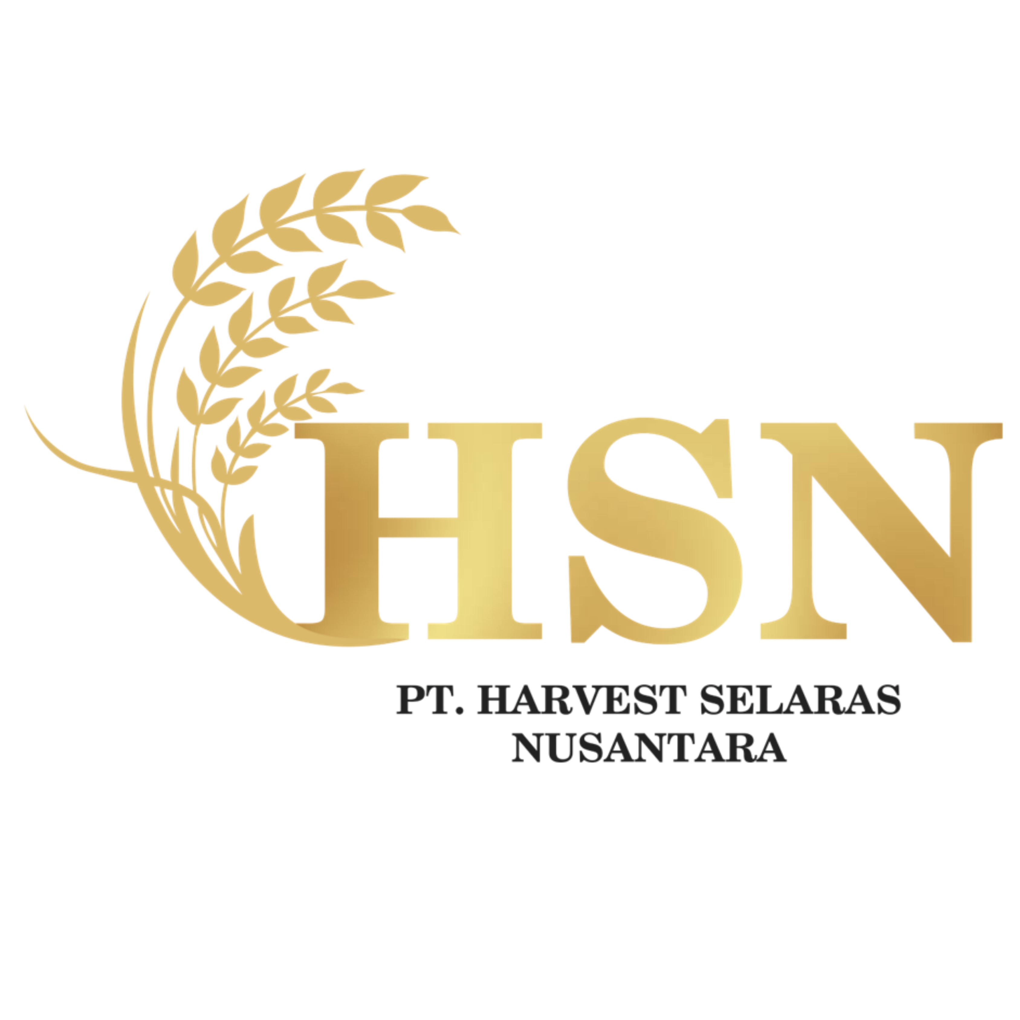 HSN Logo